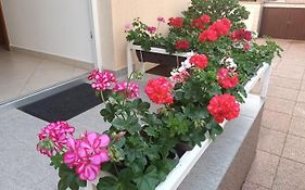 Apartment Marelja - Private Parking And Balcony